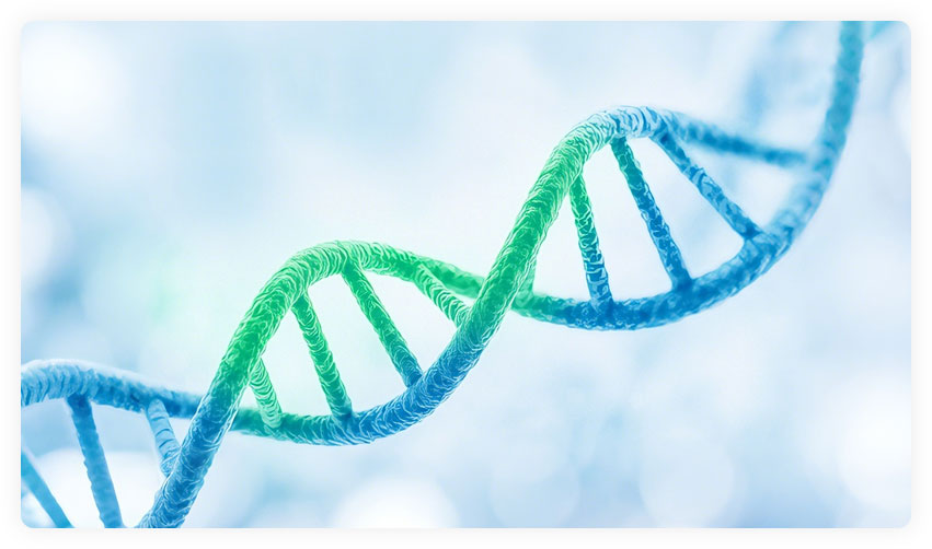 Biopharmaceutical R&D